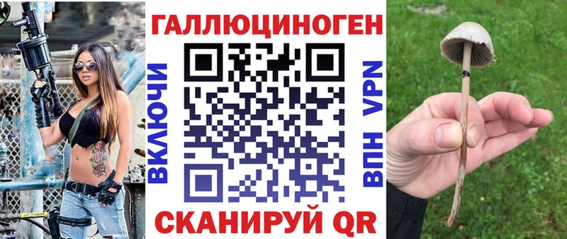 Псилоцибиновые грибы Cubensis Купить закладки Бахчисарай